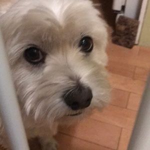 Meet your Posher, Luis